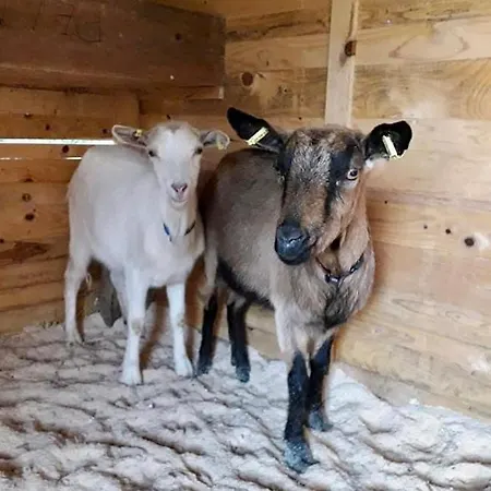 Les Granges Mathussieres Feriehus